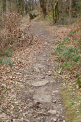 
Lasgarn Railroad sleepers, March 2009